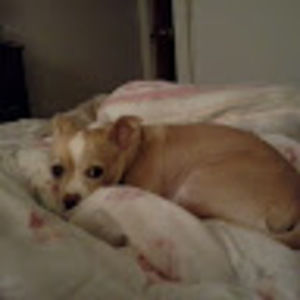 Meet your Posher, Mary lou